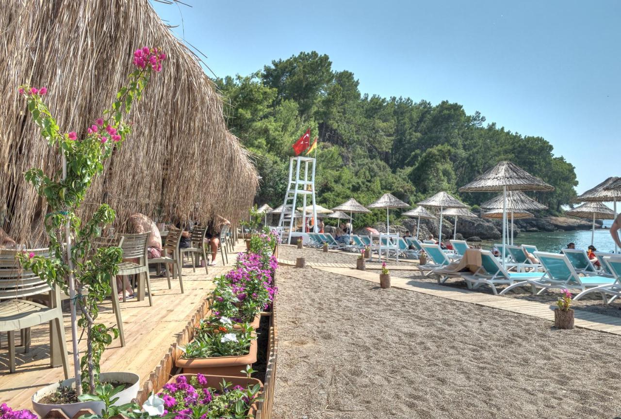 Hotel Litore & 5*